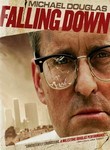 Falling Down Reviews