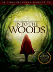 into the woods review