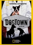 DogTown: Second Chances