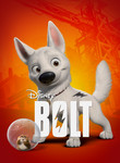 Bolt Bolt