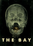 The Bay