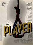 The Player The Player