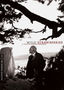 Wild Strawberries
