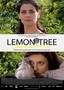 Lemon Tree