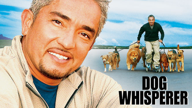 Dog Whisperer with Cesar Millan for Rent on DVD - DVD Netflix